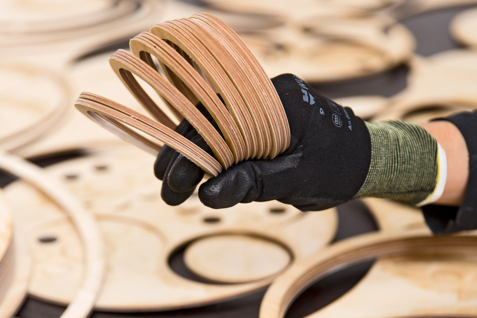 A hand holding freshly-cut wooden rings.